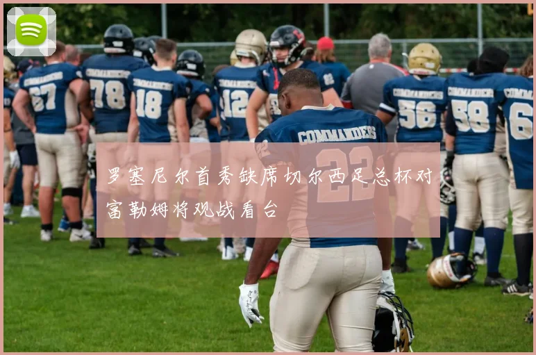 罗塞尼尔首秀缺席切尔西足总杯对富勒姆将观战看台