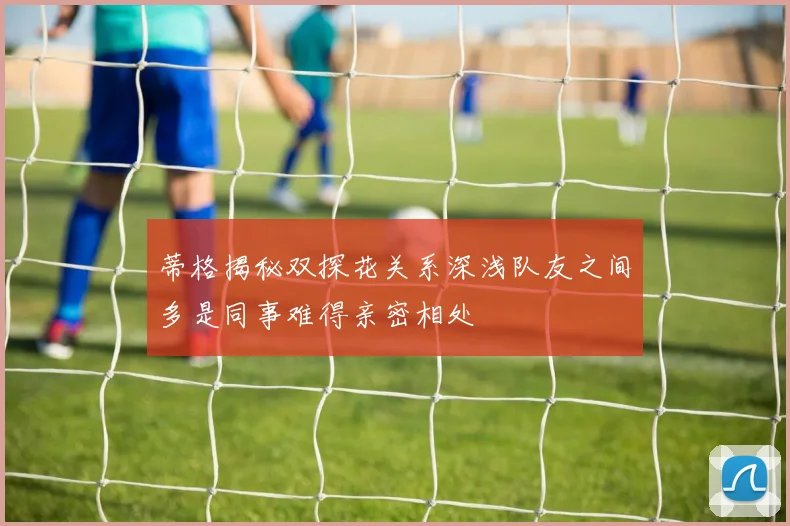 蒂格揭秘双探花关系深浅队友之间多是同事难得亲密相处