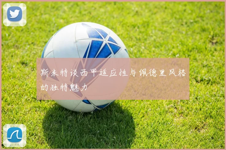 斯米特谈西甲适应性与佩德里风格的独特魅力